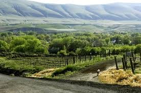 Washington State Wine Auction 2012 – A 25 year Cellebration Part 1