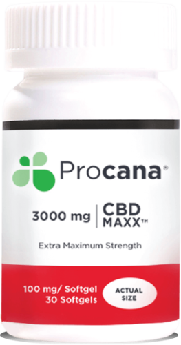 Procana-CBD-Maxx