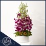 Fuchsia Phalaenopsis Orchid Oasis Arrangement